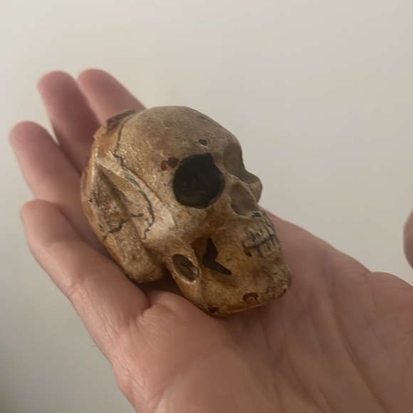Miniature skull - Picture 5 of 5